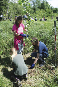 Ridge and Valley Students volunteer to planting trees along Paulins Kill
