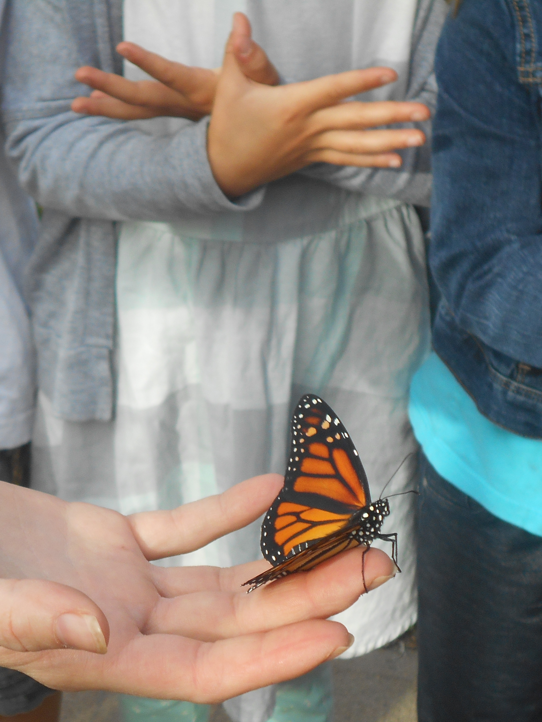 Ridge and Valley Charter School students