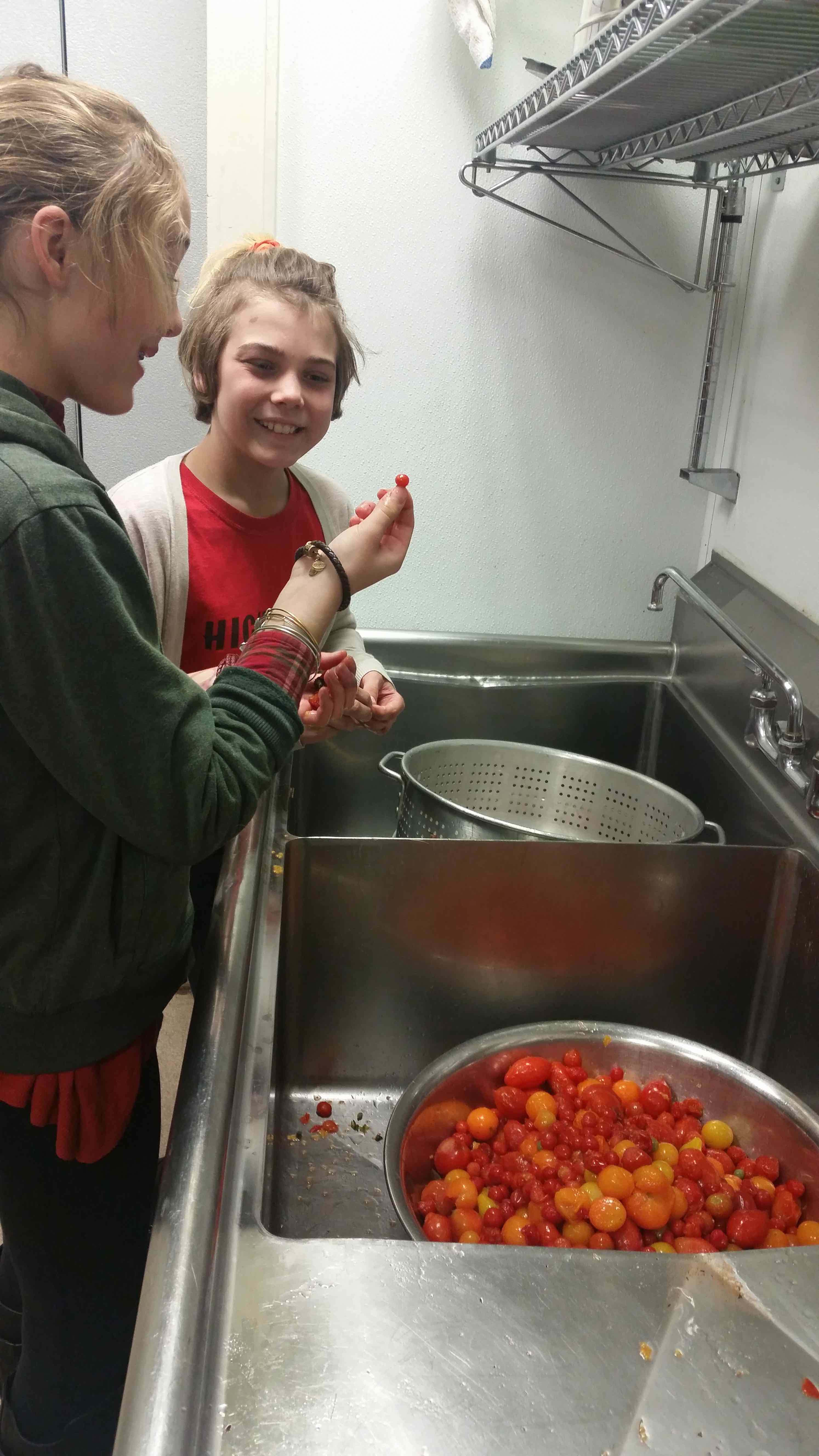 Ridge and Valley Charter School student eva cleaning tomatoes at soup kitchen